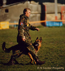 Shutzhund competition